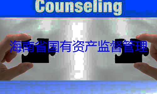 理委员会党有福接受审海南省国有委副书记王资产监督管查调查